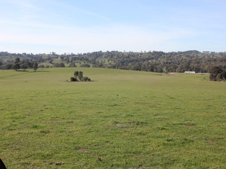 Kanimbla Hume Highway, Tarcutta NSW 2652 - McGrath Riverina