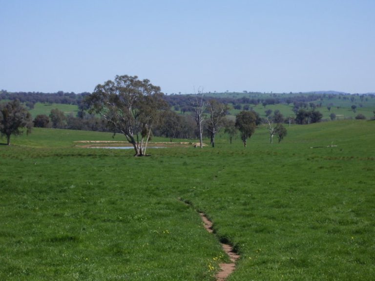 Rosalie Hume Highway, Tarcutta NSW 2652 - photo 11