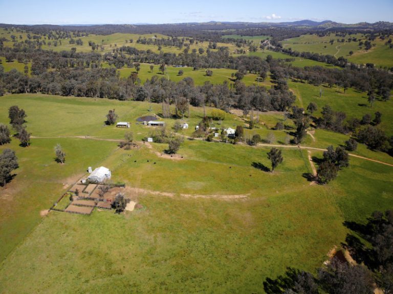 Rosalie Hume Highway, Tarcutta NSW 2652 - photo 12