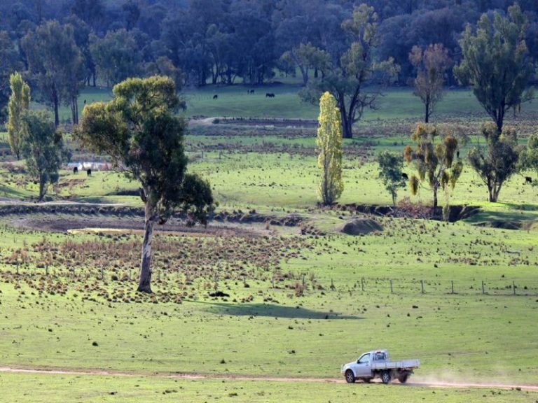 Rosalie Hume Highway, Tarcutta NSW 2652 - photo 14
