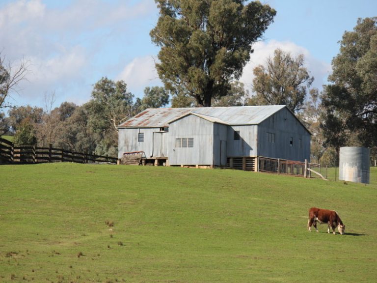 Rosalie Hume Highway, Tarcutta NSW 2652 - photo 15