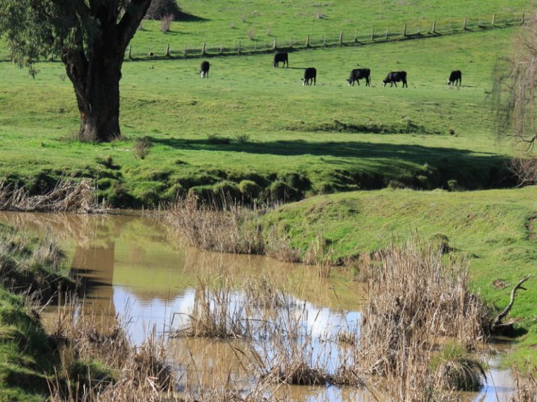 Rosalie Hume Highway, Tarcutta NSW 2652 - photo 5