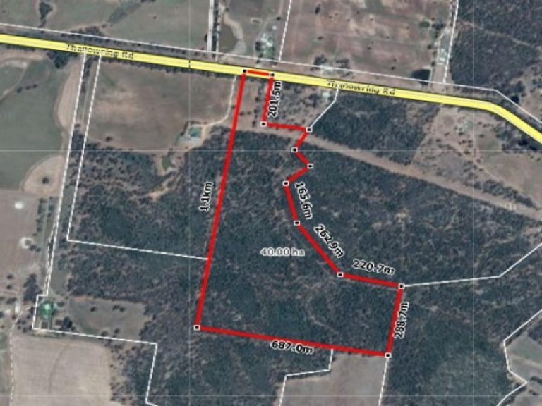 915 Thanowring Road, Temora NSW 2666 - photo 4