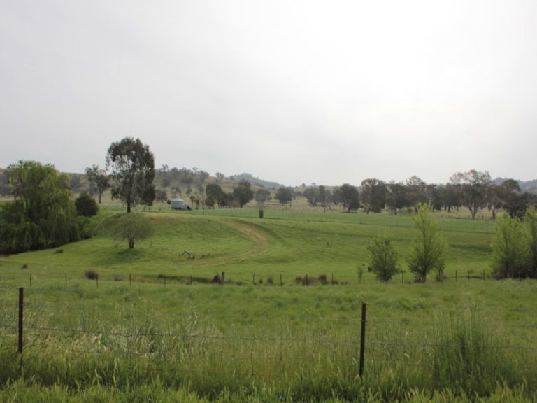 8842 Hume Highway, Gundagai NSW 2722 - photo 2