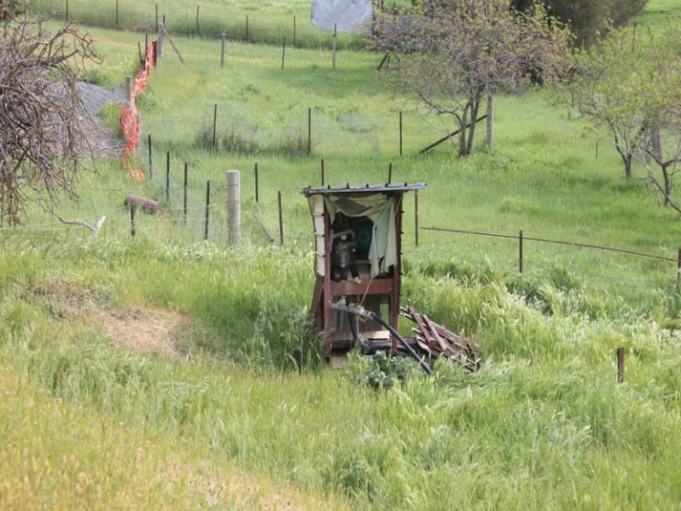 8842 Hume Highway, Gundagai NSW 2722 - photo 16