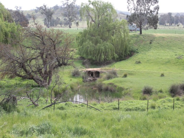 8842 Hume Highway, Gundagai NSW 2722 - photo 17