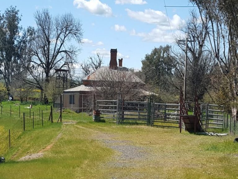 8842 Hume Highway, Gundagai NSW 2722 - photo 3