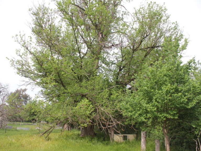 8842 Hume Highway, Gundagai NSW 2722 - photo 22