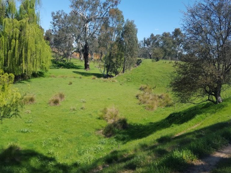 8842 Hume Highway, Gundagai NSW 2722 - photo 4
