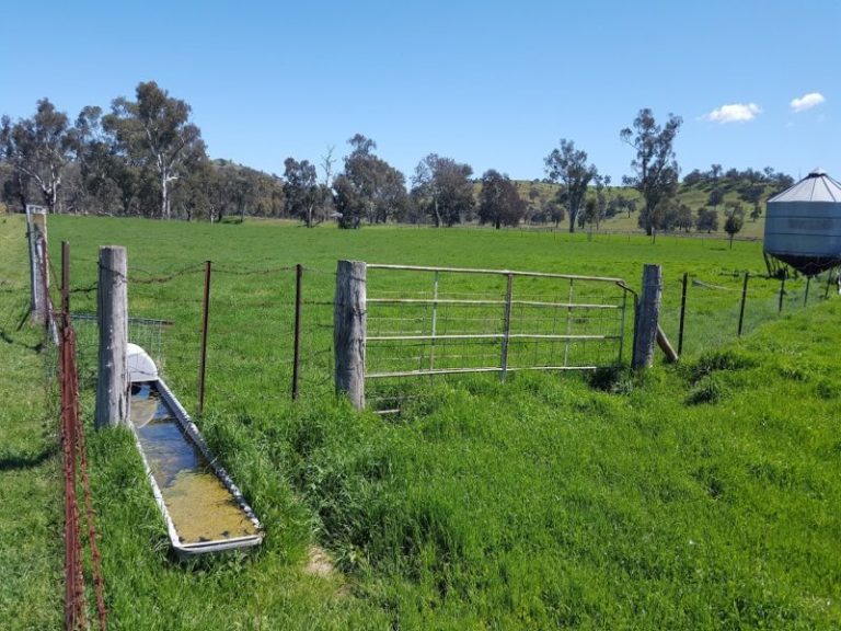 8842 Hume Highway, Gundagai NSW 2722 - photo 5