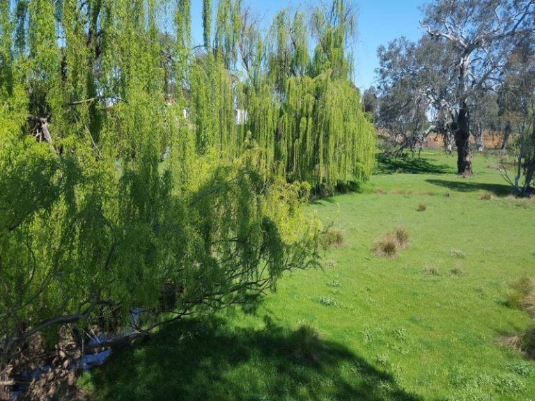 8842 Hume Highway, Gundagai NSW 2722 - photo 6