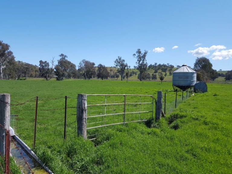 8842 Hume Highway, Gundagai NSW 2722 - photo 7
