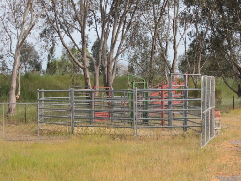 8842 Hume Highway, Gundagai NSW 2722 - photo 8