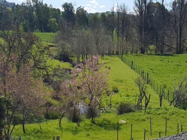 8842 Hume Highway, Gundagai NSW 2722 - McGrath Riverina