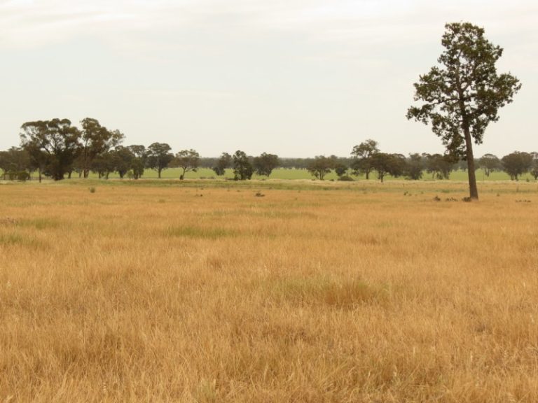 Goldfields Way, Temora NSW 2666 - photo 11