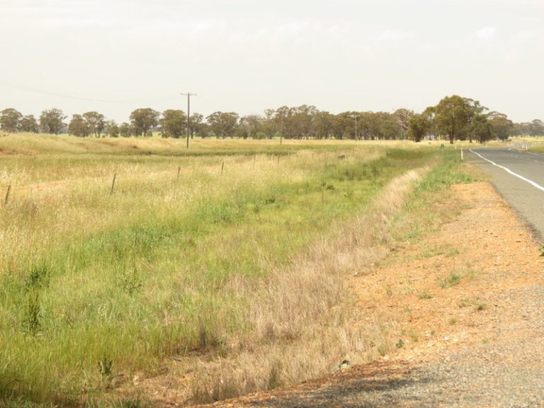 Goldfields Way, Temora NSW 2666 - photo 12