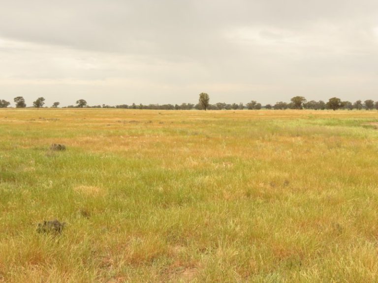Goldfields Way, Temora NSW 2666 - photo 3