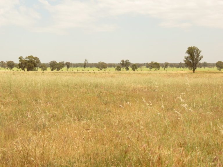 Goldfields Way, Temora NSW 2666 - photo 5