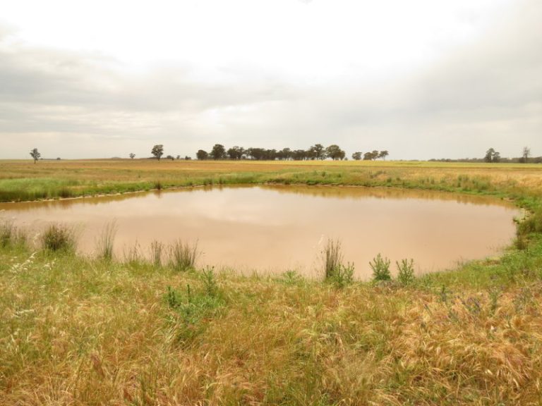 Goldfields Way, Temora NSW 2666 - photo 7