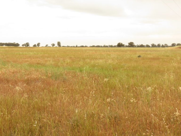 Goldfields Way, Temora