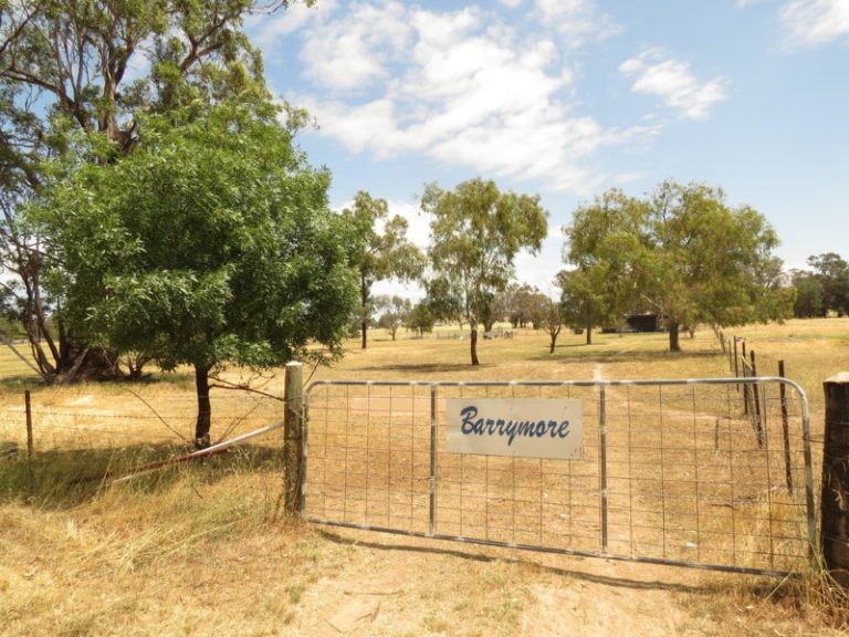 Lot 2, DP8 Grogan Road, Stockinbingal NSW 2725 - photo 2