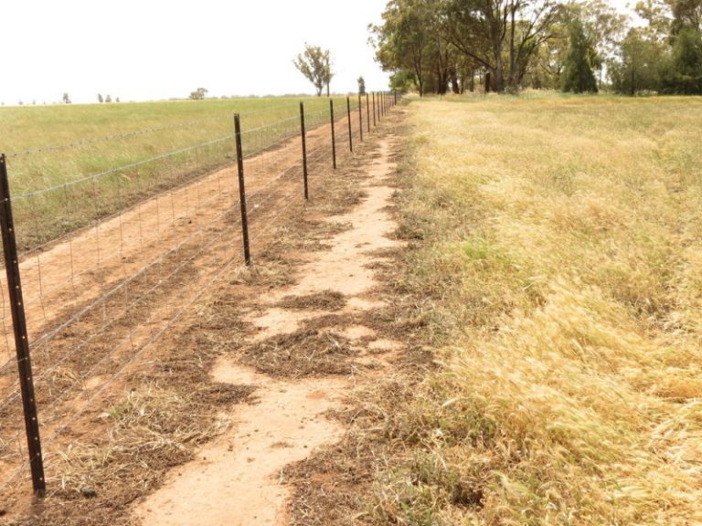 Lot 2, DP8 Grogan Road, Stockinbingal NSW 2725 - photo 11