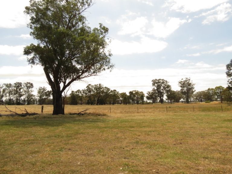 Lot 2, DP8 Grogan Road, Stockinbingal NSW 2725 - photo 4