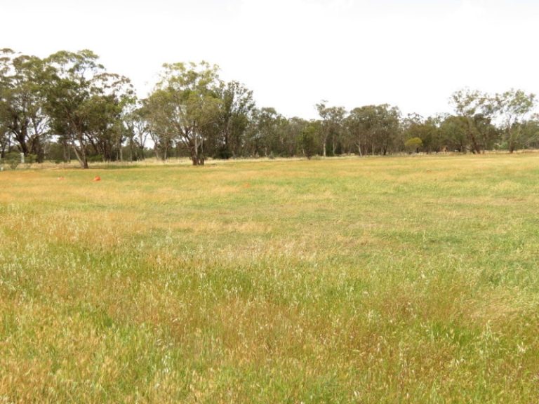Lot 2, DP8 Grogan Road, Stockinbingal NSW 2725 - photo 6