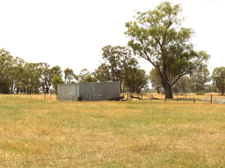 Lot 2, DP8 Grogan Road, Stockinbingal NSW 2725 - photo 8