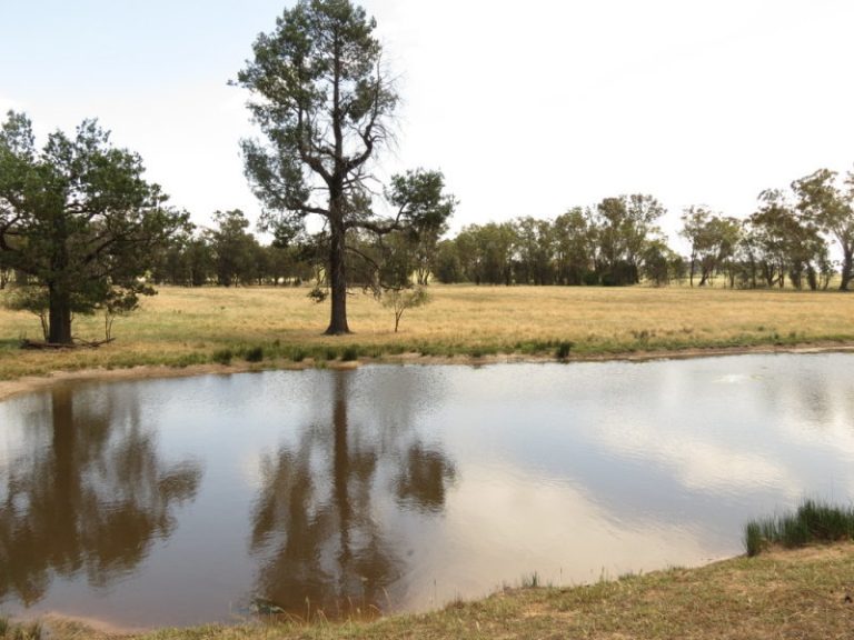 Lot 2, DP8 Grogan Road, Stockinbingal NSW 2725 - McGrath Riverina