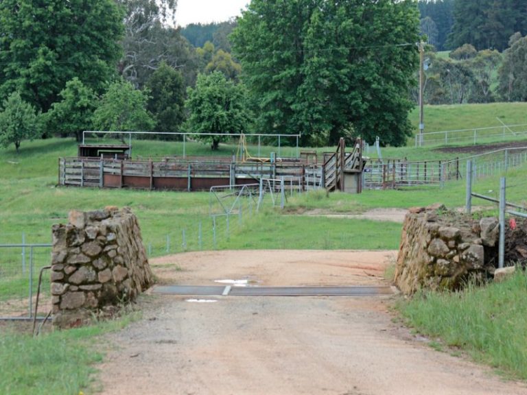 56 Keadys Road, Koetong VIC 3704 - photo 18