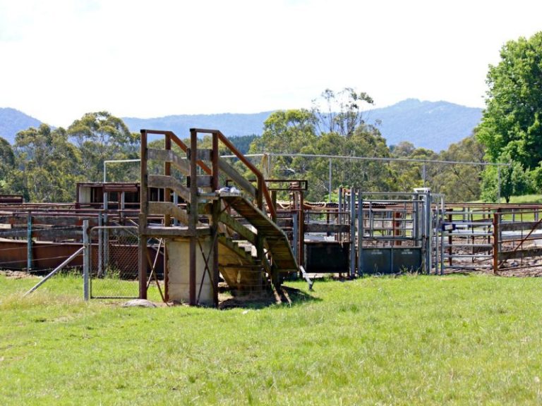 56 Keadys Road, Koetong VIC 3704 - photo 19