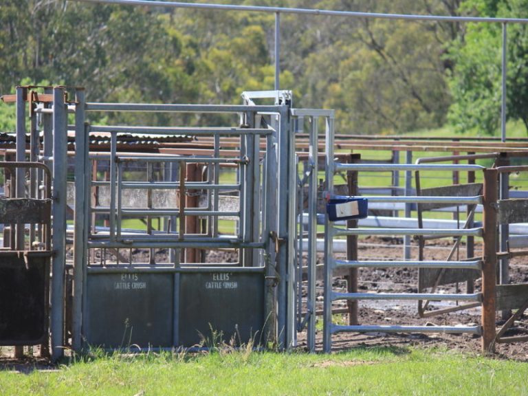 56 Keadys Road, Koetong VIC 3704 - photo 20