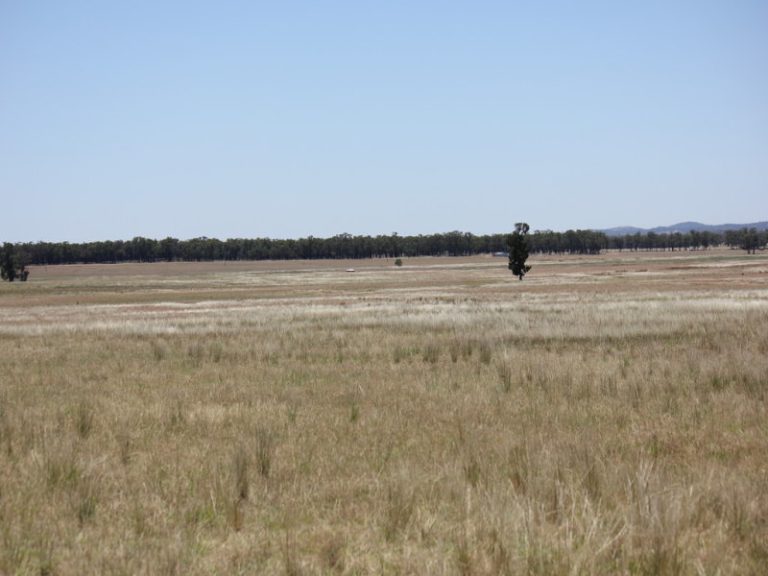 977 Schmidts Lane, Temora NSW 2666 - photo 4