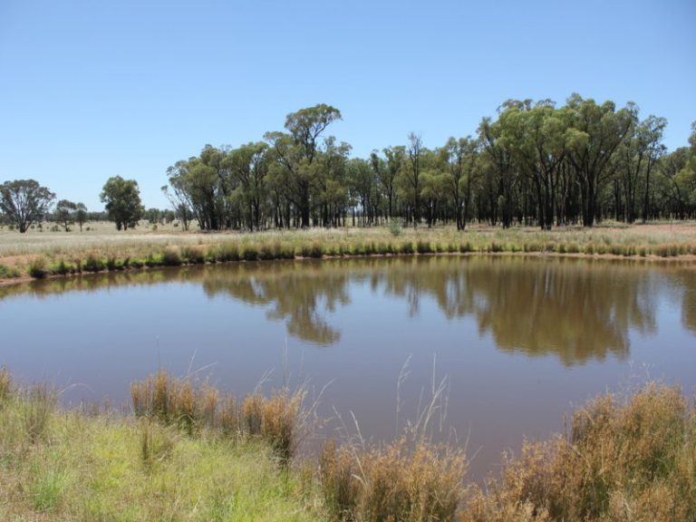 977 Schmidts Lane, Temora