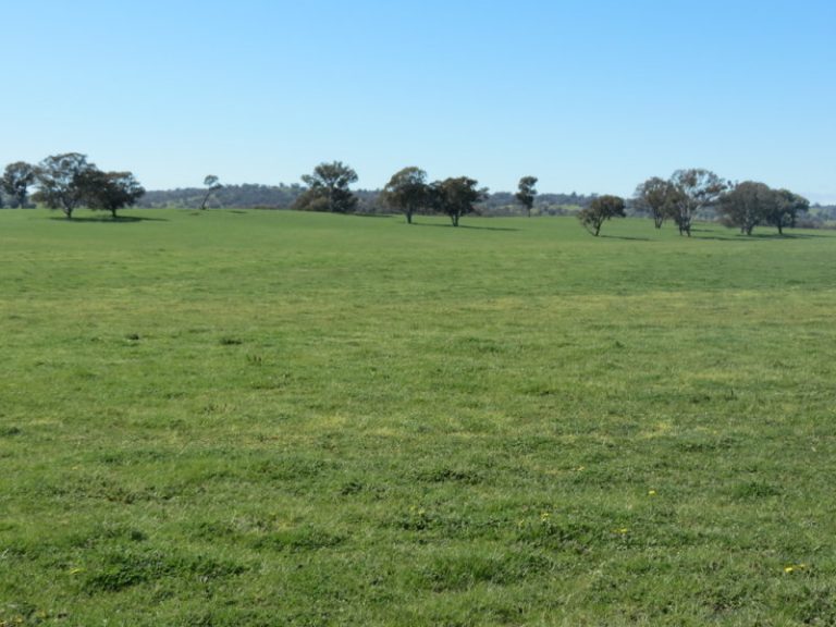 Hume Highway, Tarcutta NSW 2652 - photo 2
