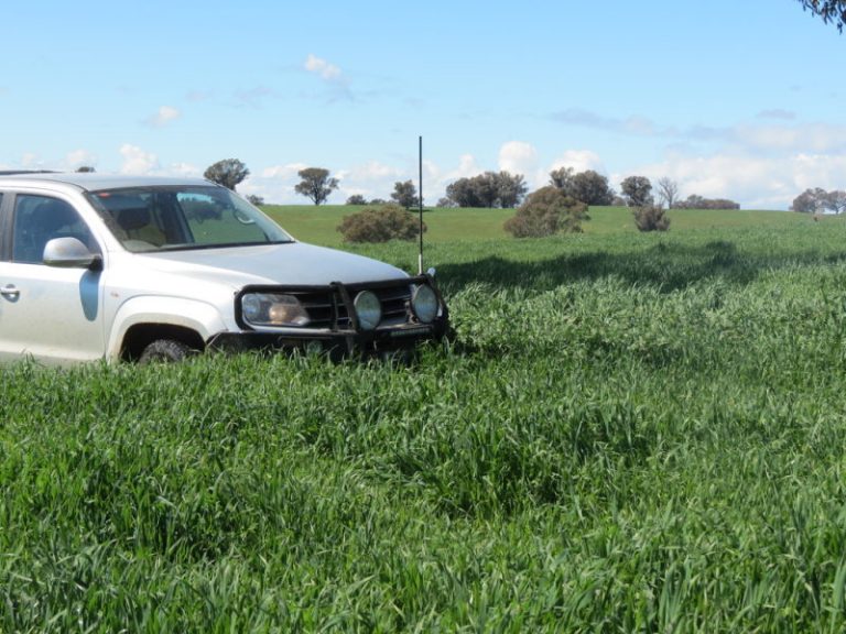Hume Highway, Tarcutta NSW 2652 - photo 4