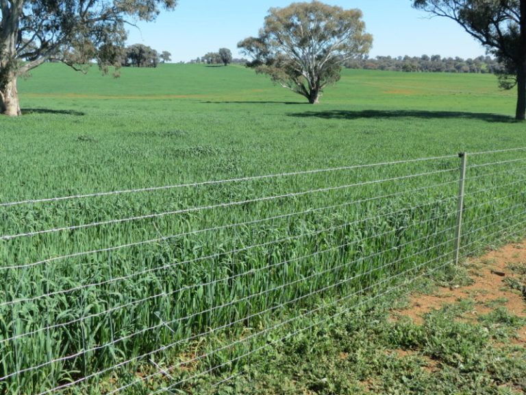 Hume Highway, Tarcutta NSW 2652 - photo 6