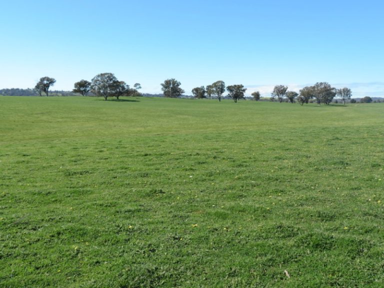 Hume Highway, Tarcutta NSW 2652 - photo 7