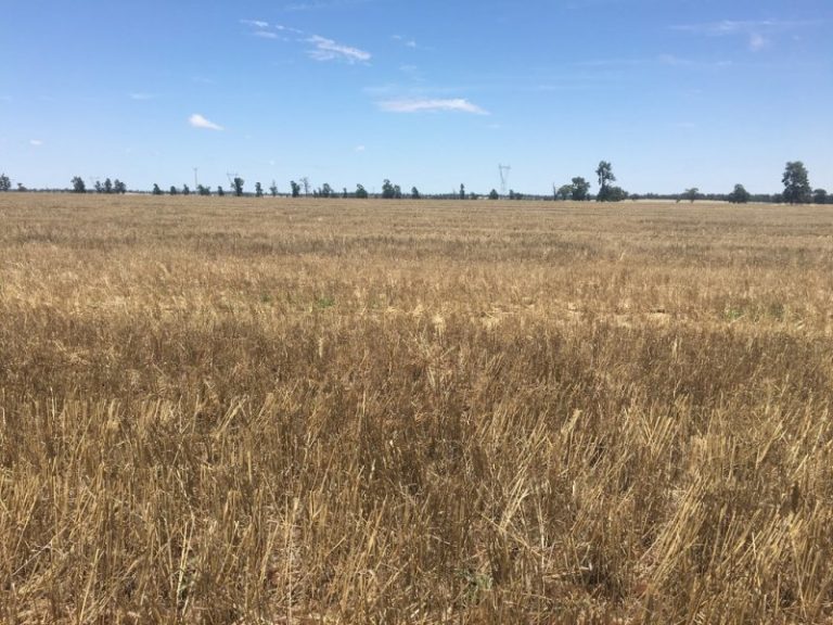 Strontian Road, Narrandera NSW 2700 - photo 3