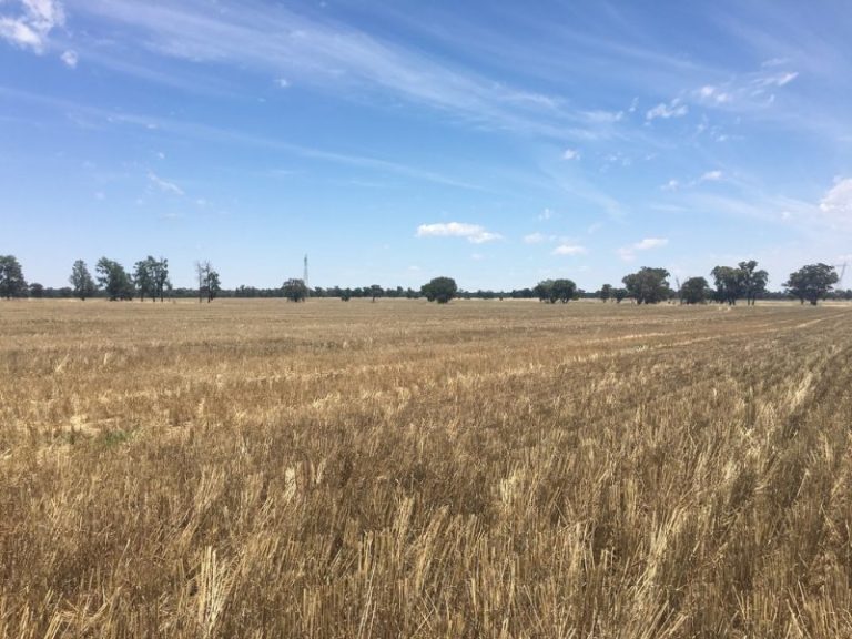 Strontian Road, Narrandera NSW 2700 - photo 4