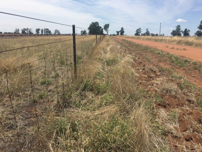 Strontian Road, Narrandera NSW 2700 - photo 5