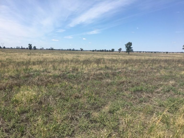 Strontian Road, Narrandera NSW 2700 - photo 6