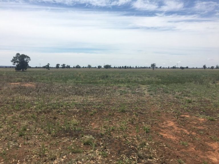 Strontian Road, Narrandera NSW 2700 - photo 7