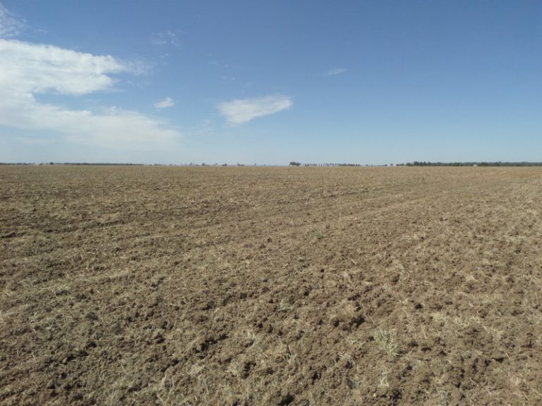 Newell Highway, Narrandera NSW 2700 - photo 4