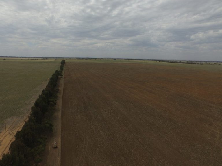 Newell Highway, Narrandera NSW 2700 - photo 6