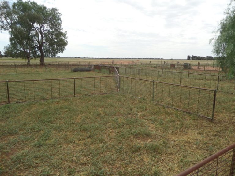 Newell Highway, Narrandera NSW 2700 - photo 8