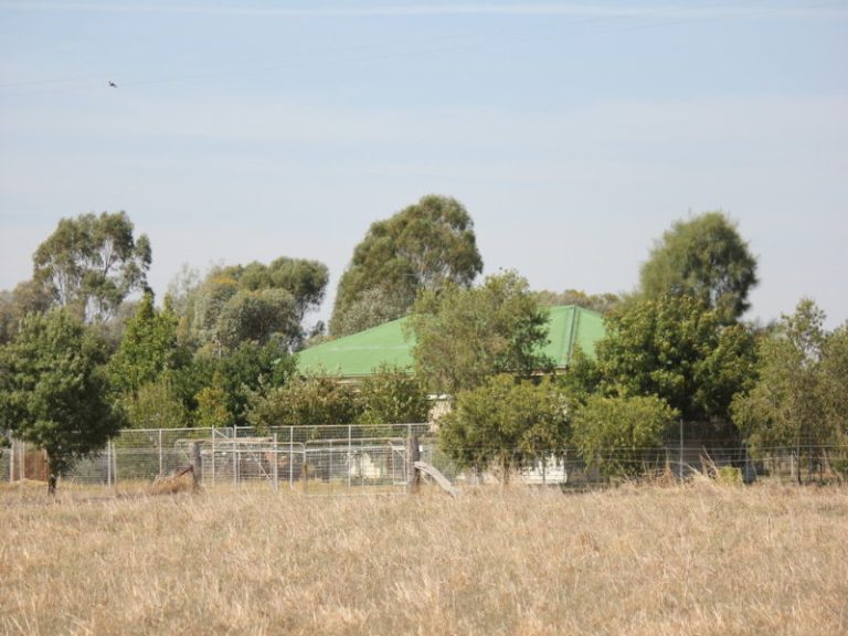 273 Coolamon Road, Wagga Wagga NSW 2650 - photo 11