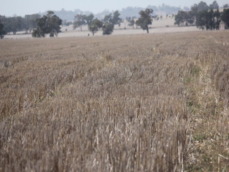 273 Coolamon Road, Wagga Wagga NSW 2650 - photo 15