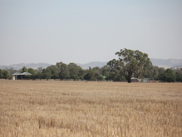 273 Coolamon Road, Wagga Wagga NSW 2650 - photo 17